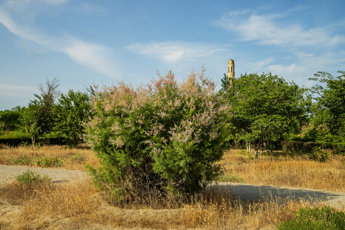 Актау - Анатолий Чикчирный Актау - Анатолий Чикчирный