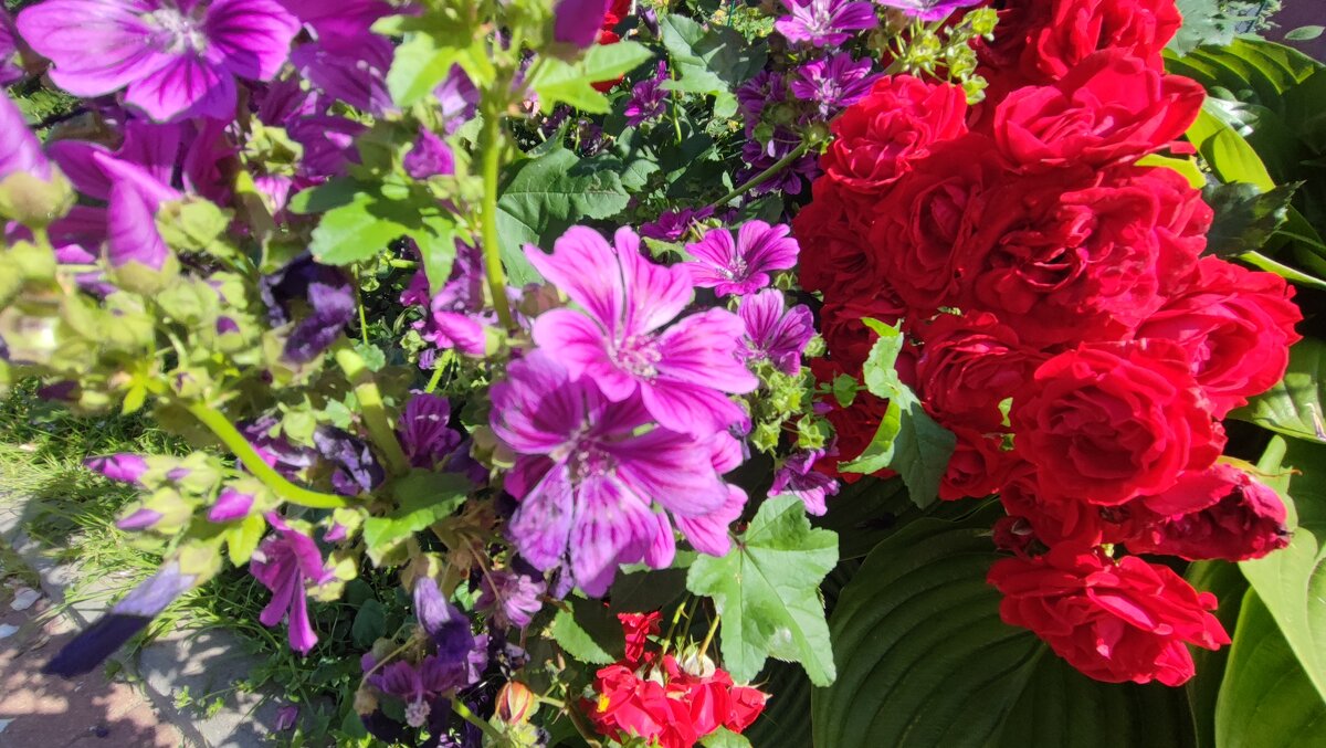 ,,, - Сергей Тимоновский