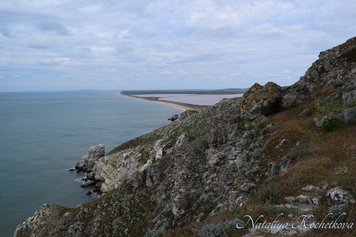Природа Крыма - Amazing Cosmea