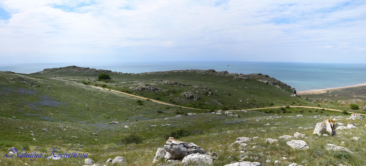 Природа Крыма - Amazing Cosmea