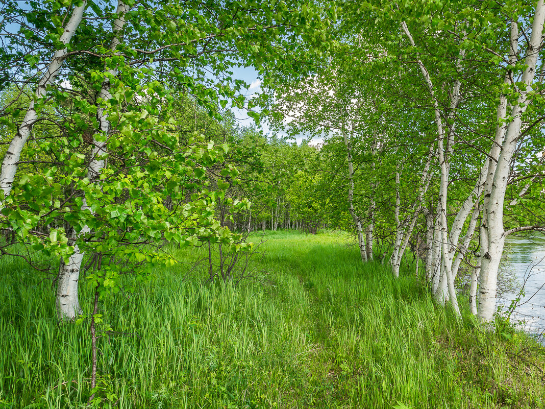 ... - Жора Житников