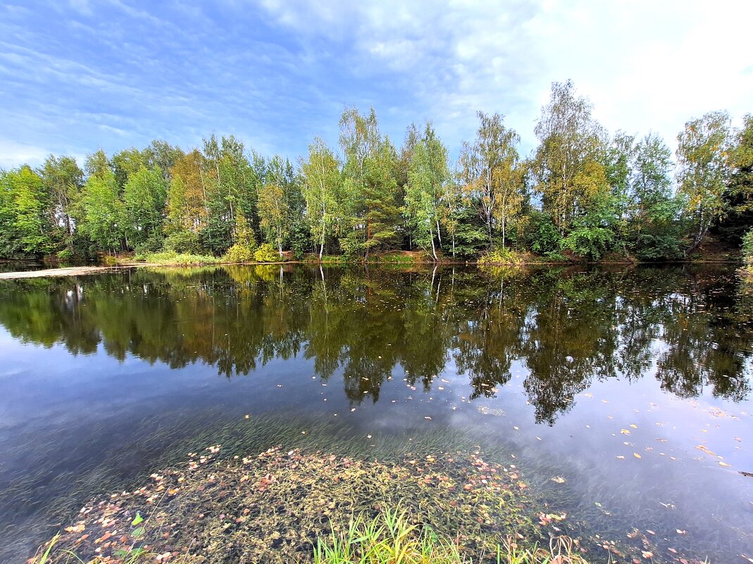 Пейзаж - Наталья 