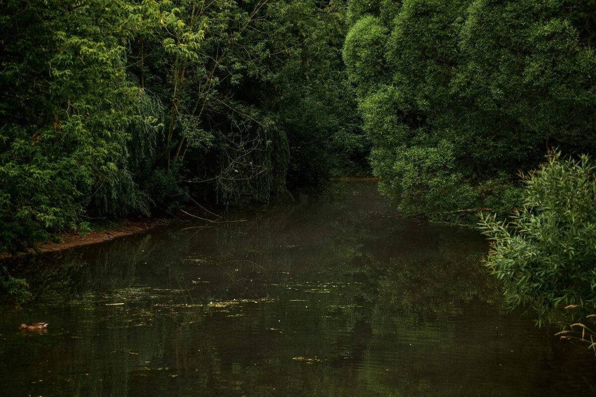 ** - Зинаида Манушкина