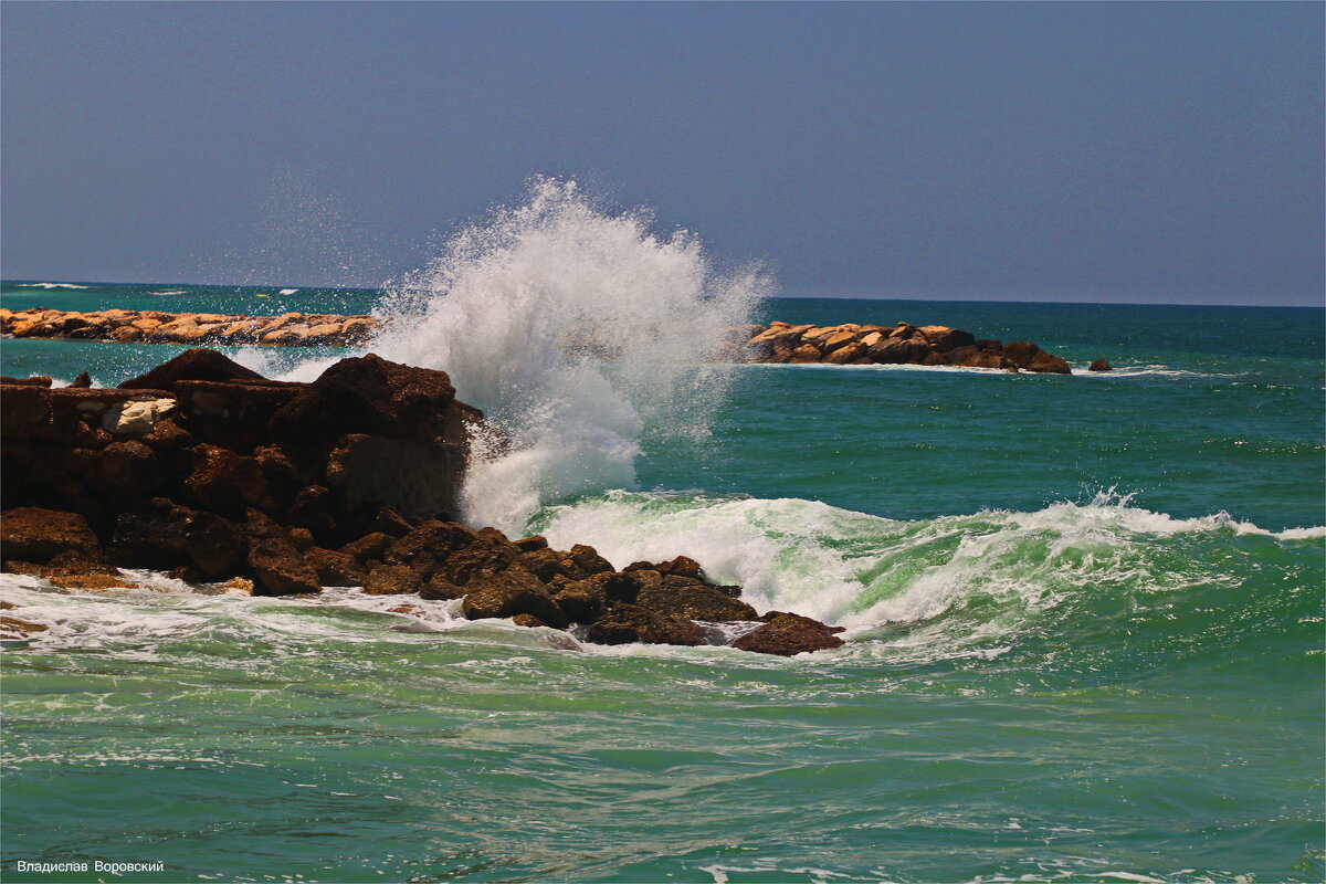 Хайфа 2025 - Владислав Воровский 