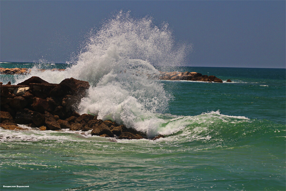 Хайфа 2025 - Владислав Воровский Хайфа 2025 - Владислав Воровский