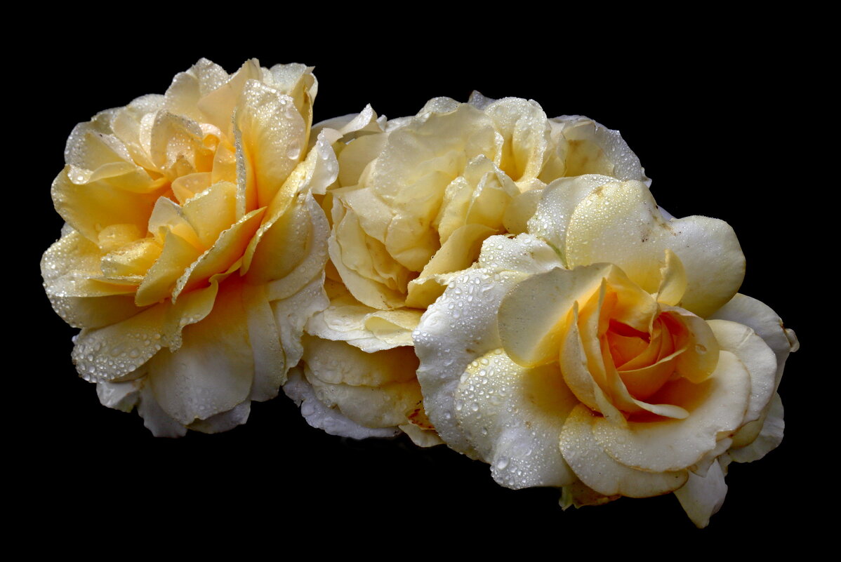 16 июля - Михаил Бибичков