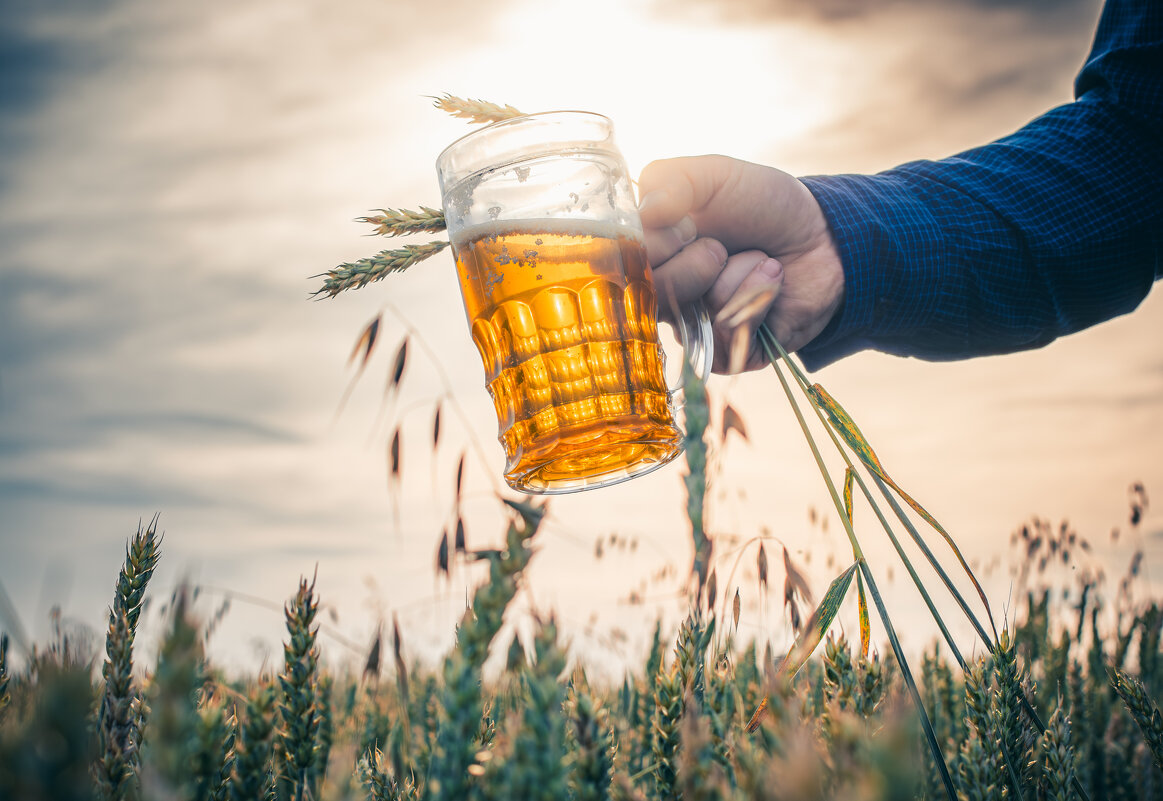 *** - Николай Чекалин