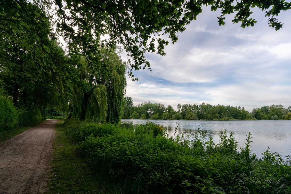 Майский пейзаж... - Николай Гирш