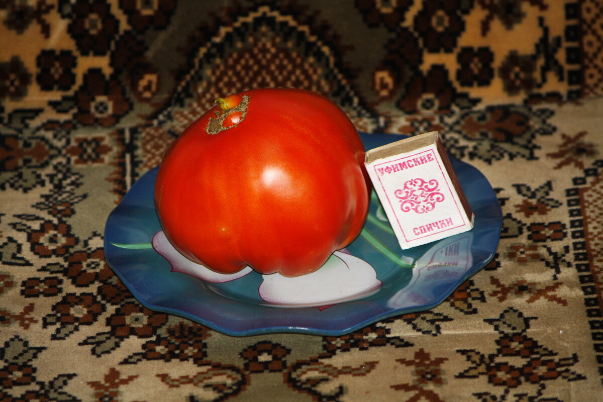 Нормальный вырос овощ (если кому-то нравится, то фрукт)... ) - Константин Штарк