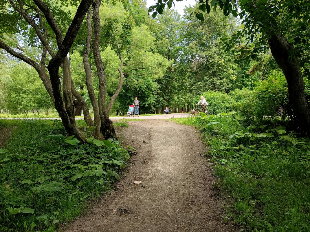 В парке... - Мария Васильева В парке... - Мария Васильева