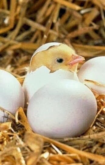 С днём Рождения ! - Валерий Кокорев С днём Рождения ! - Валерий Кокорев