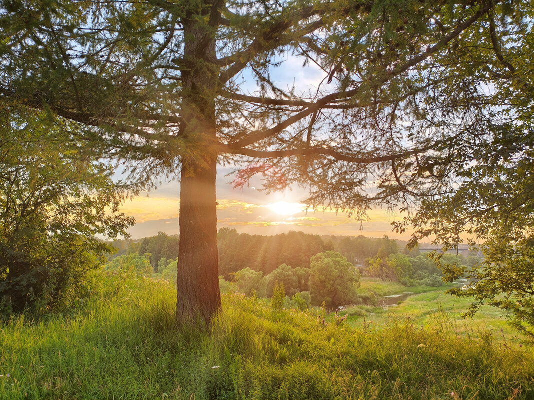 *** - Денис Бочкарёв