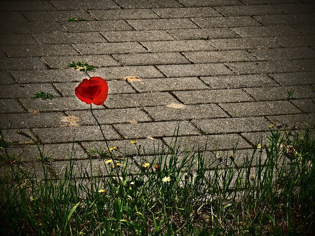 Летние этюды 64 - Алексей Кузнецов Летние этюды 64 - Алексей Кузнецов