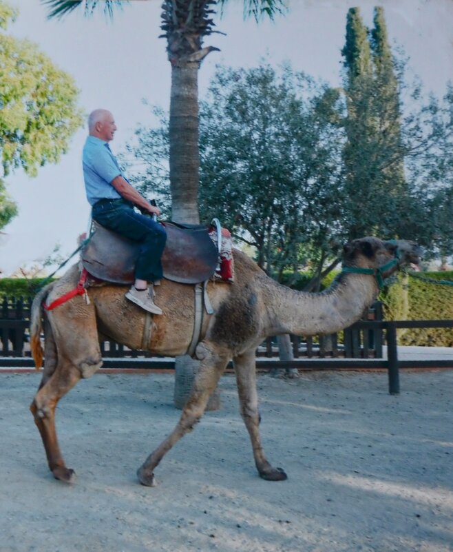 Поехали! Кипр. - Oleg4618 Шутченко Поехали! Кипр. - Oleg4618 Шутченко