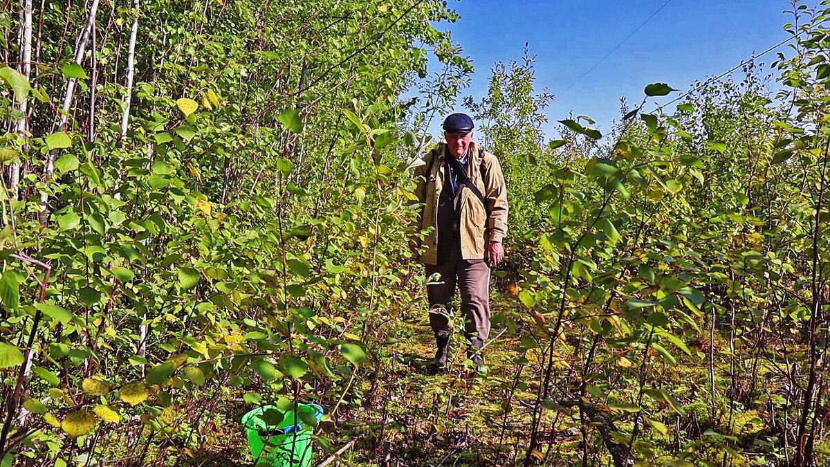 Июль...Олений остров. Я-грибник-ягодник! - Владимир 