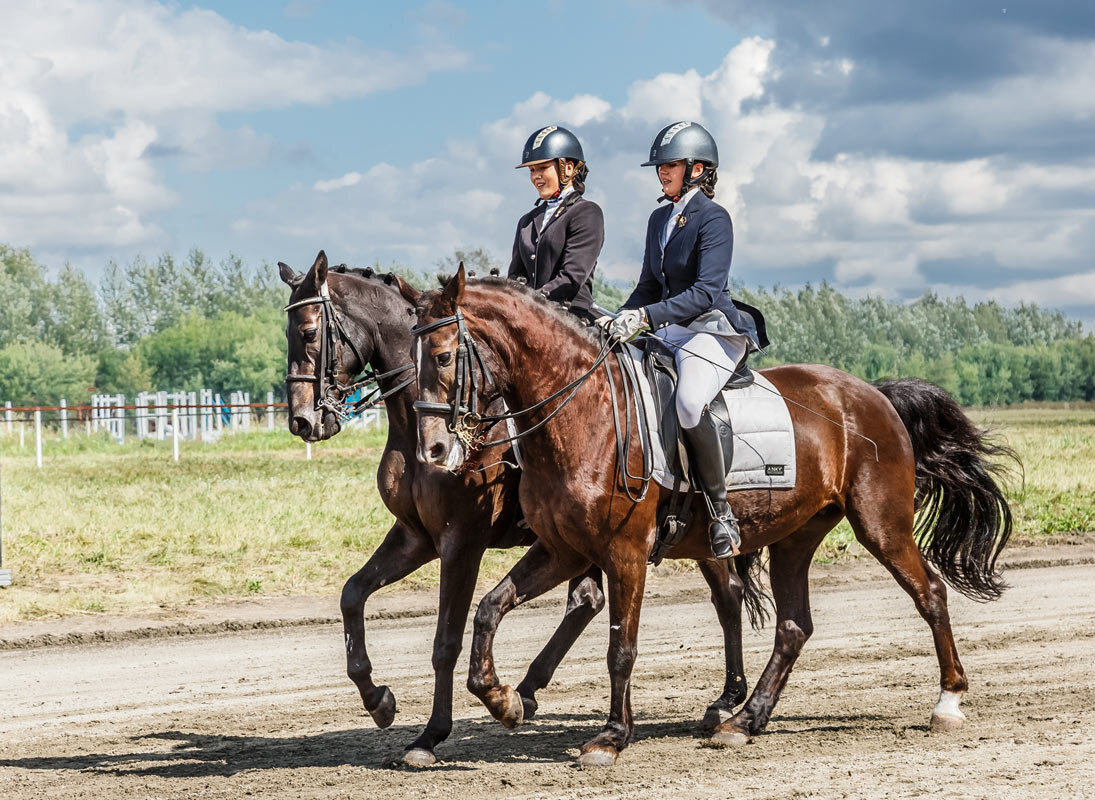 Выездка - SanSan 