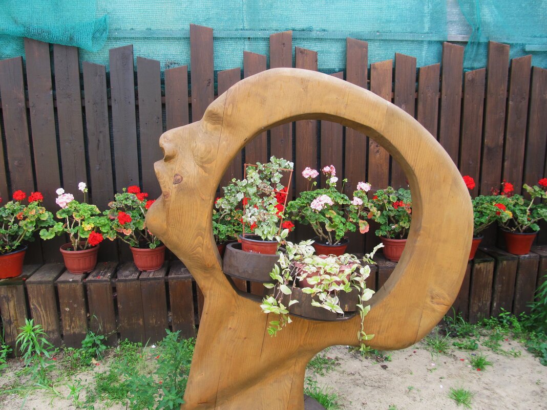 В зоопарке - Елена Шаламова В зоопарке - Елена Шаламова