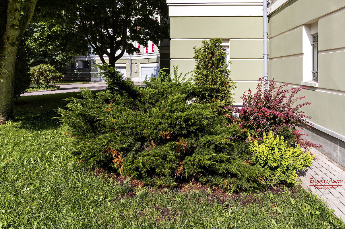 Лето в городе - Евгений 