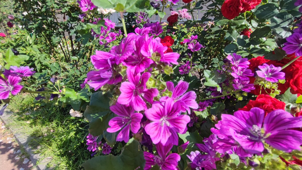 ,,, - Сергей Тимоновский ,,, - Сергей Тимоновский