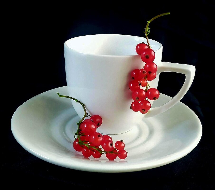 . - TAMARA КАДАНОВА . - TAMARA КАДАНОВА