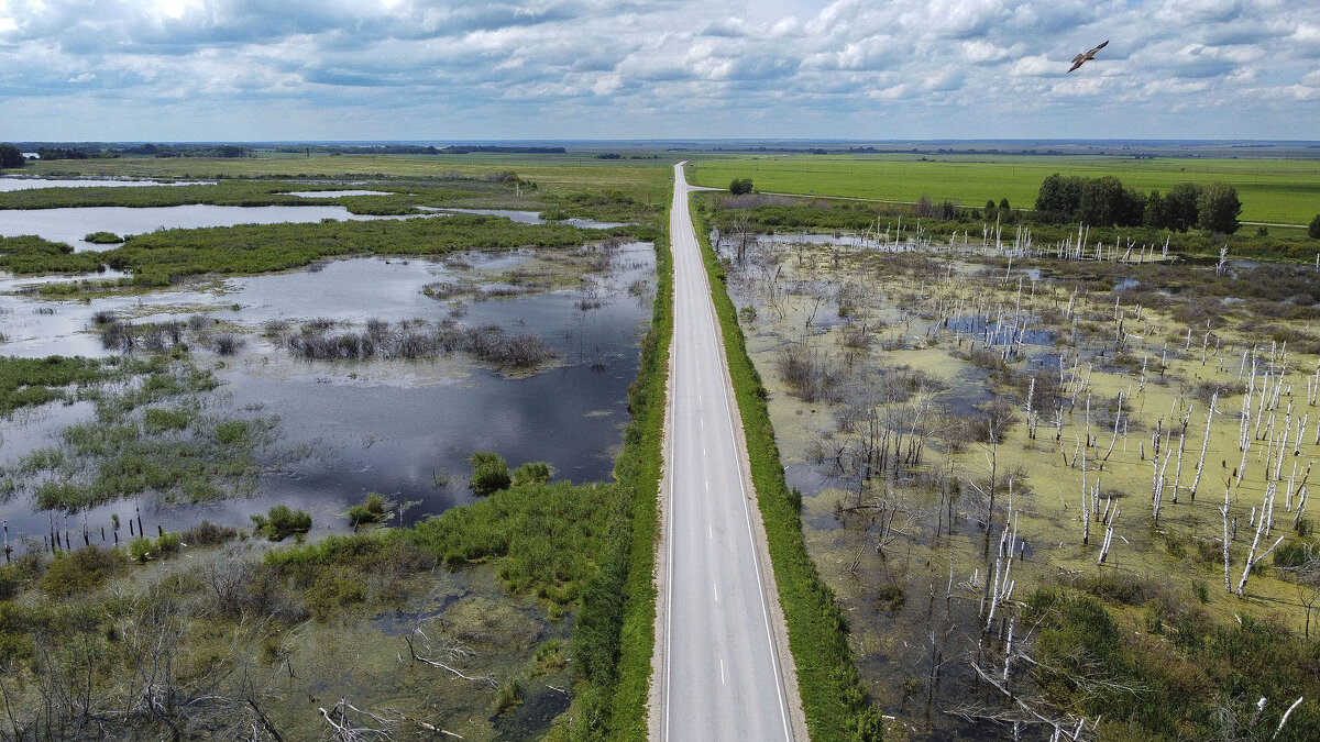 Паря над болотом - Сергей Жуков Паря над болотом - Сергей Жуков