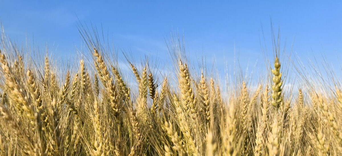 К небу - Алексей Лукаев