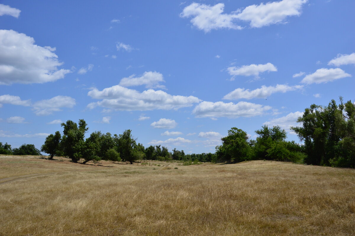 В степи. - Виктор 
