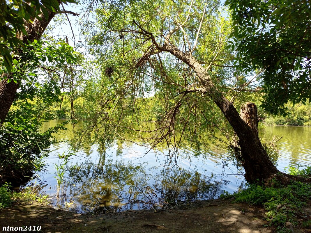 В ростовском зоопарке - Нина Бутко