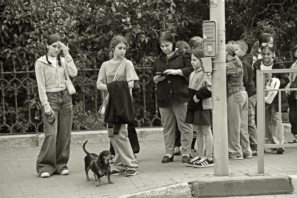 Переход - СЮ 