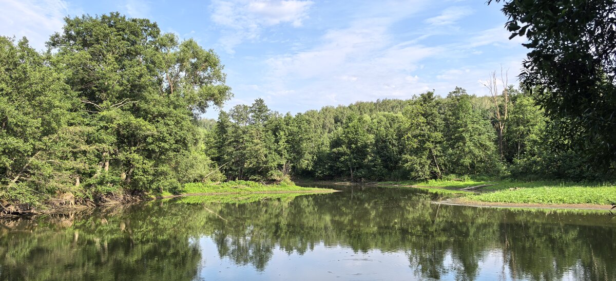 Сила лета - Алексей Лукаев