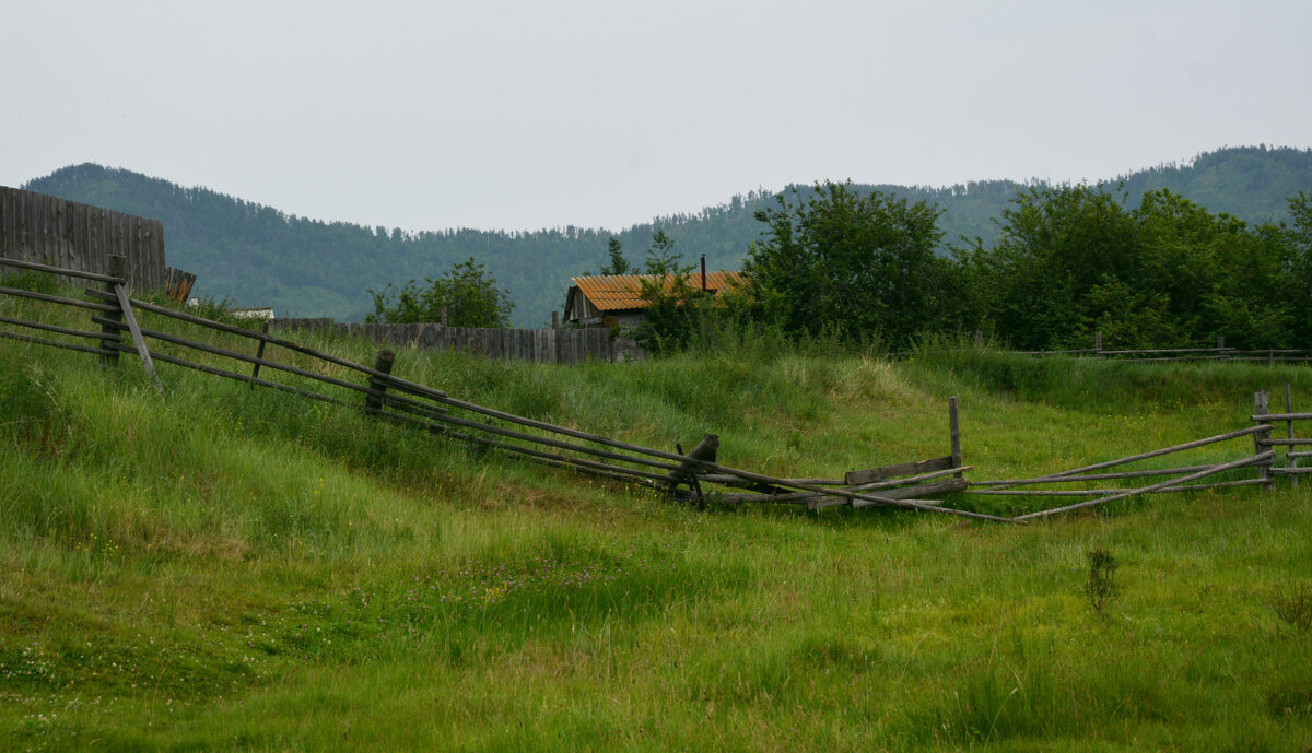 * - Наталья Покацкая * - Наталья Покацкая