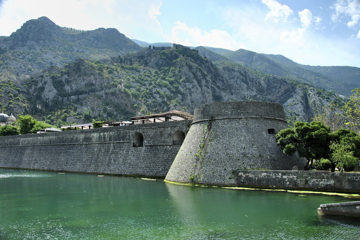 *** - Марина Виноградова