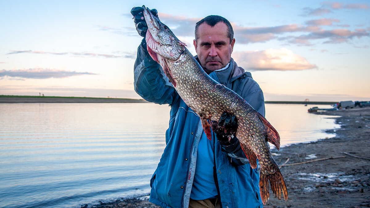 Магистр - E volution Магистр - E volution