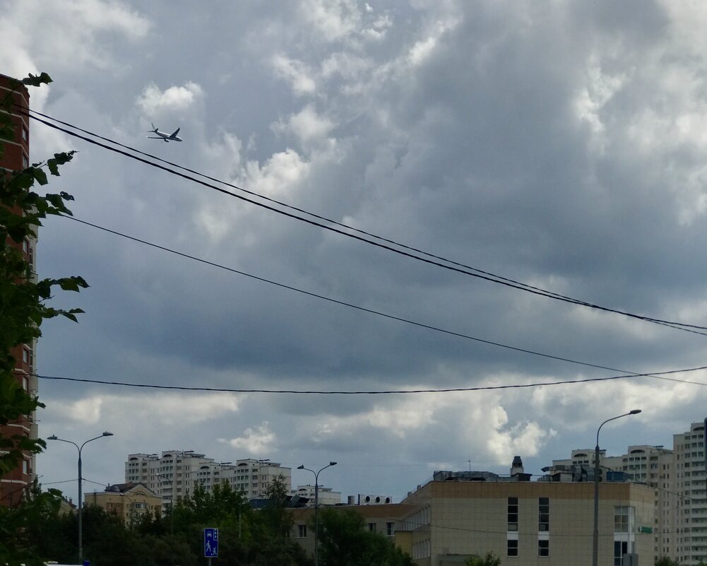 Строго намеченным курсом) - Любовь 