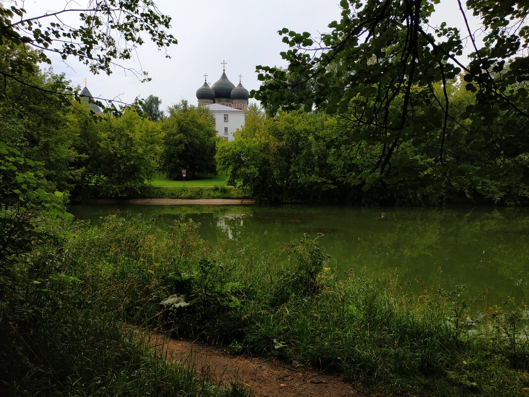 * * * - Андрей Лукьянов