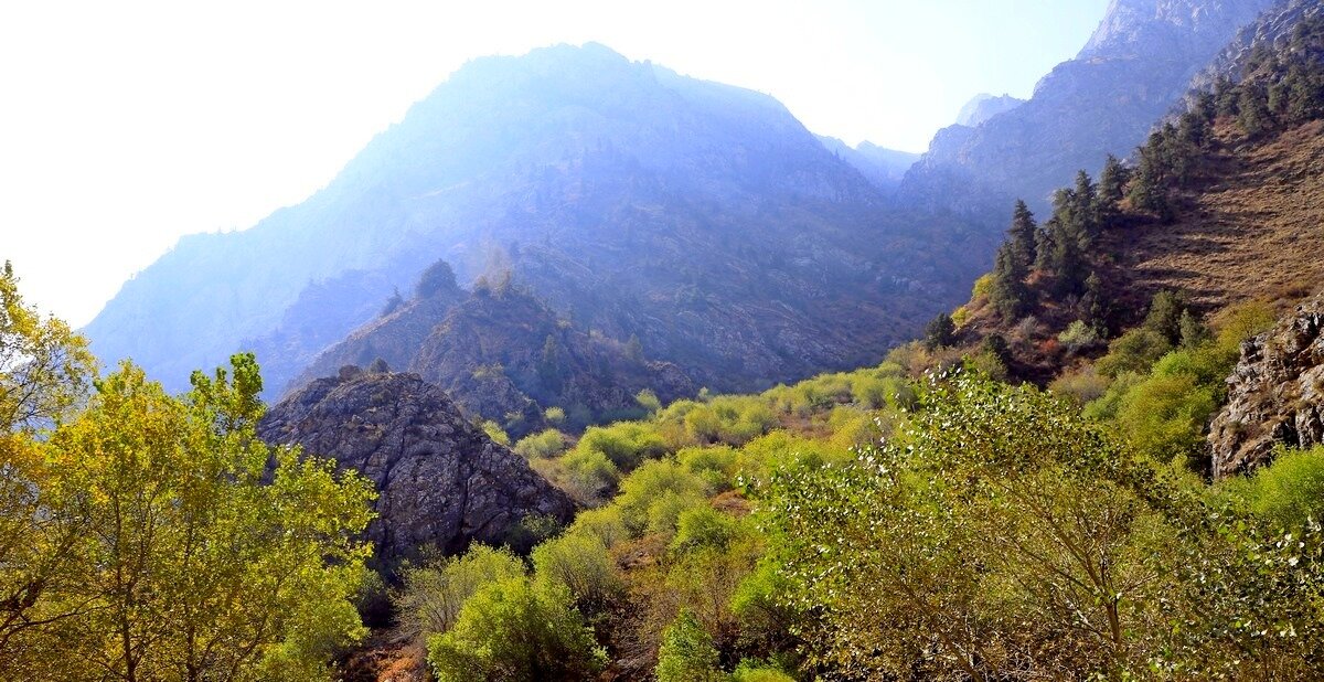 ПО НИЗАМ. - Виктор Осипчук