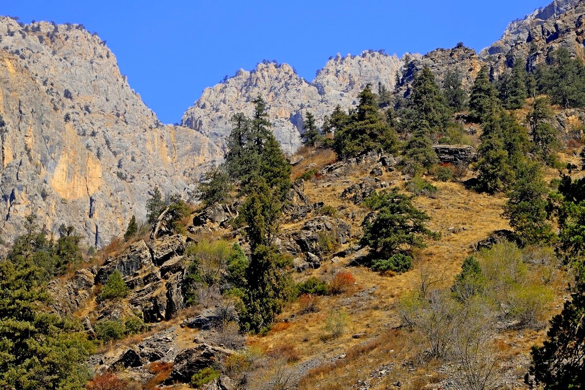 ПО НИЗАМ. - Виктор Осипчук