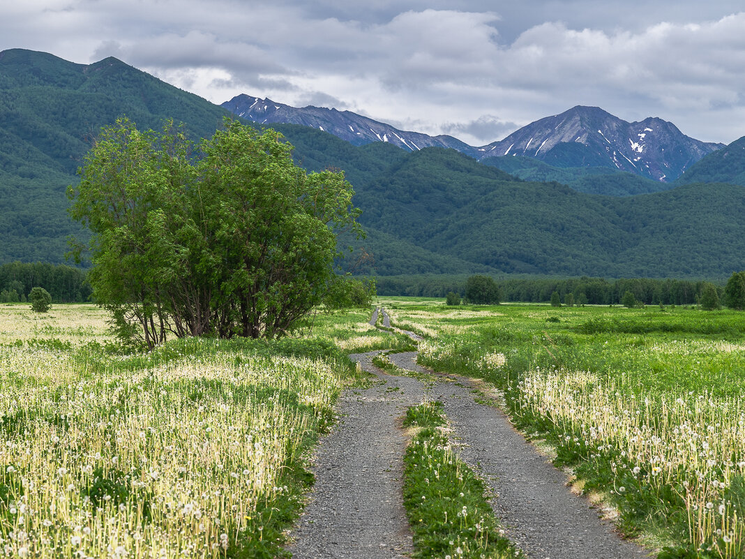 ... - Жора Житников