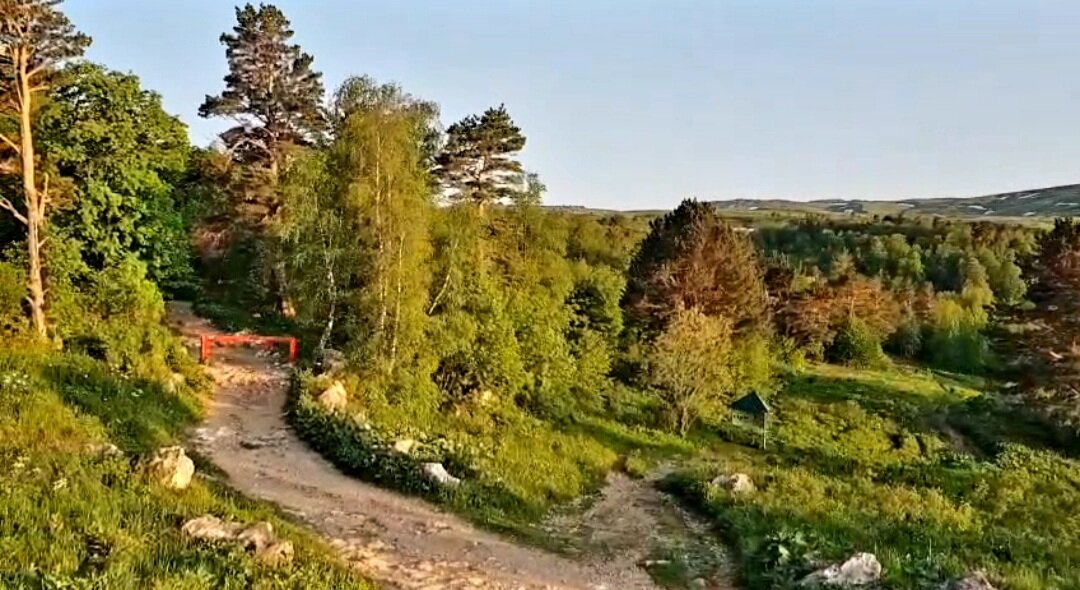 ЛАГОНАКИ - Tata Wolf