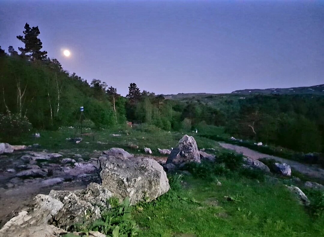 ЛАГОНАКИ - Tata Wolf