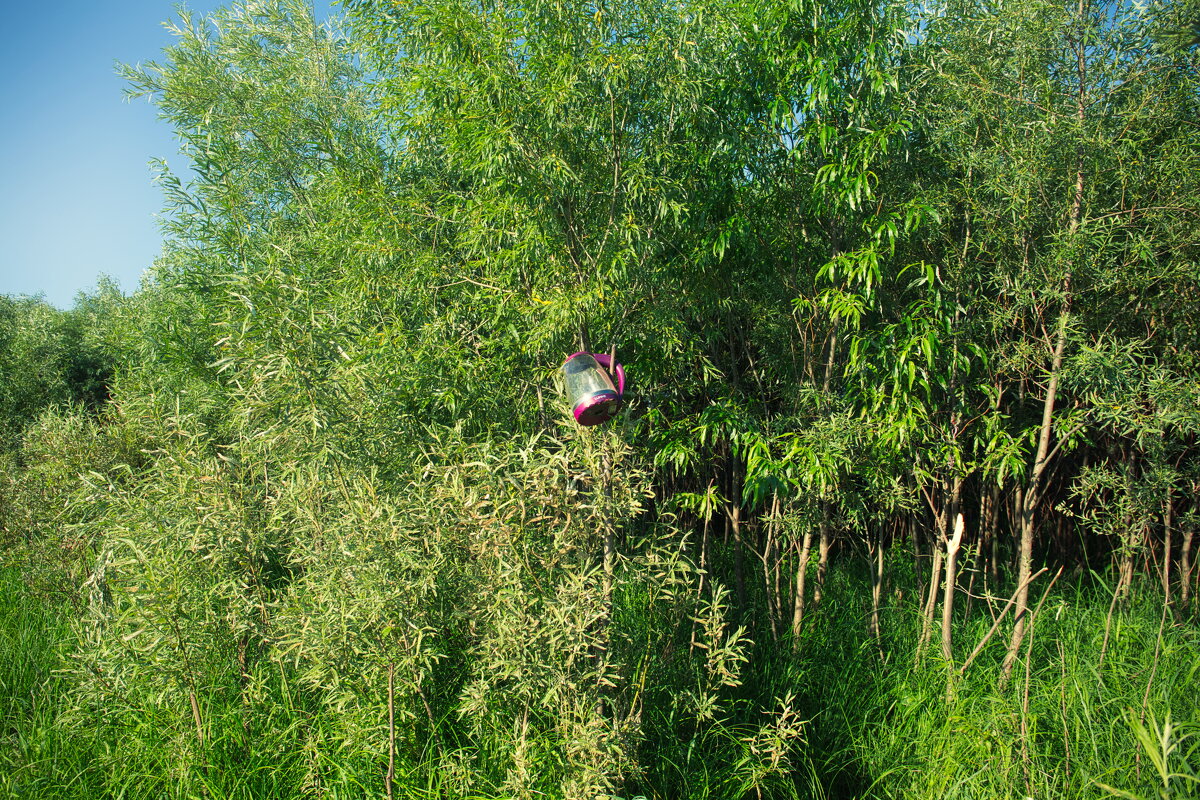 Назва. отсу. - Денис Безногов