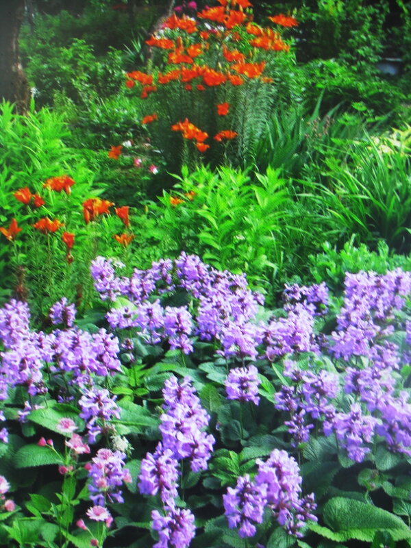 В саду - Людмила Смородинская