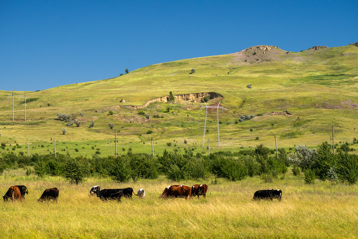 Окрестности - Игорь Сикорский