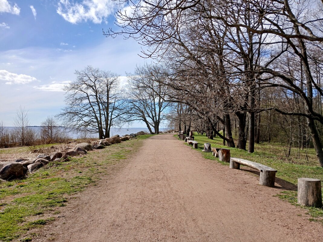 Чудесный апрель 2025 года. - Лия ☼