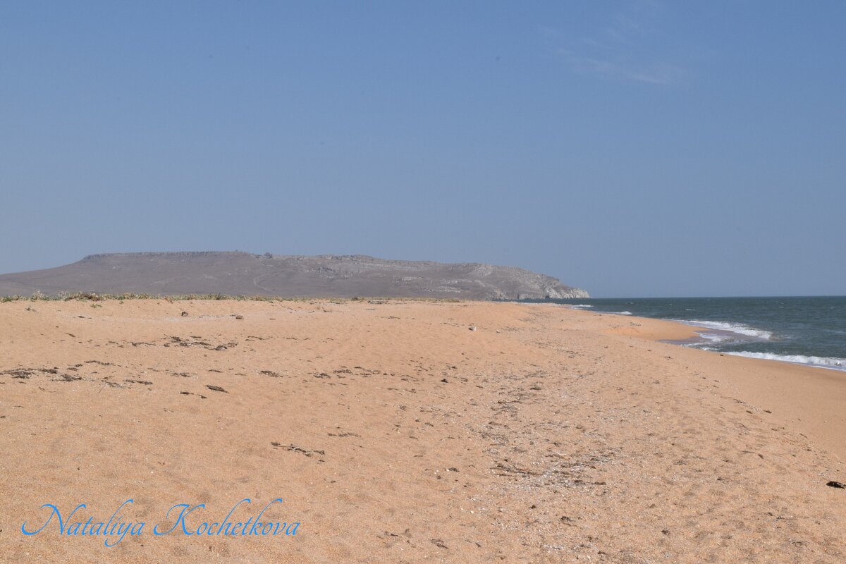 Природа Крыма - Amazing Cosmea