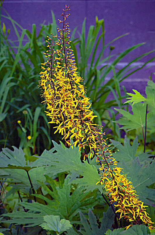 Летняя зарисовка - Владимир Кроливец Летняя зарисовка - Владимир Кроливец