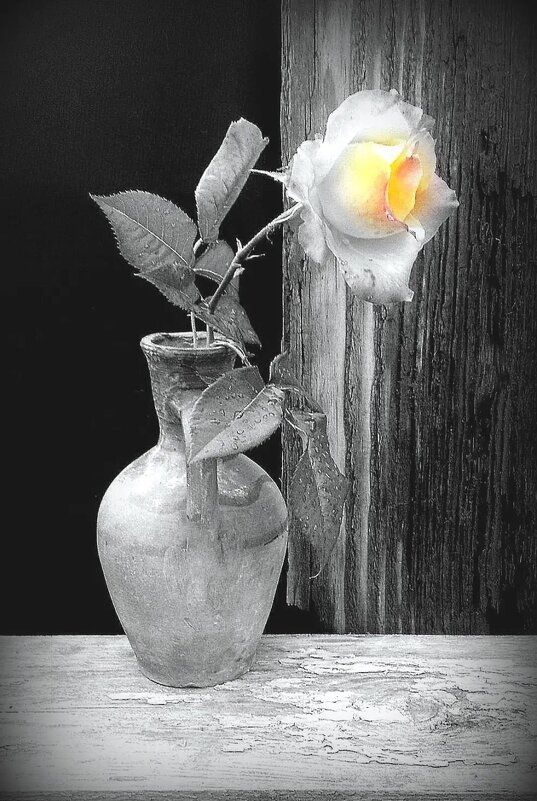 .Наваждение чувств, отпуская, однажды сойдет на нет  и рассеется прежних иллюзий неяркий свет ... - TAMARA КАДАНОВА