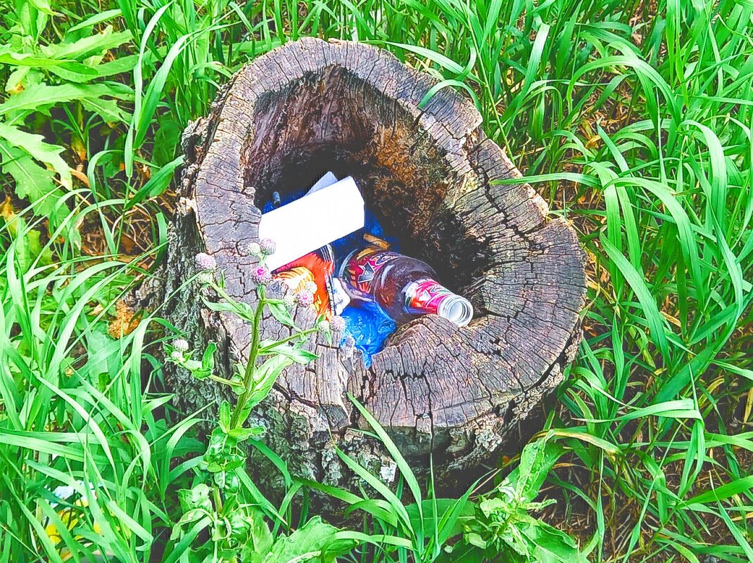 Природная урна. - Игорь Солдаткин