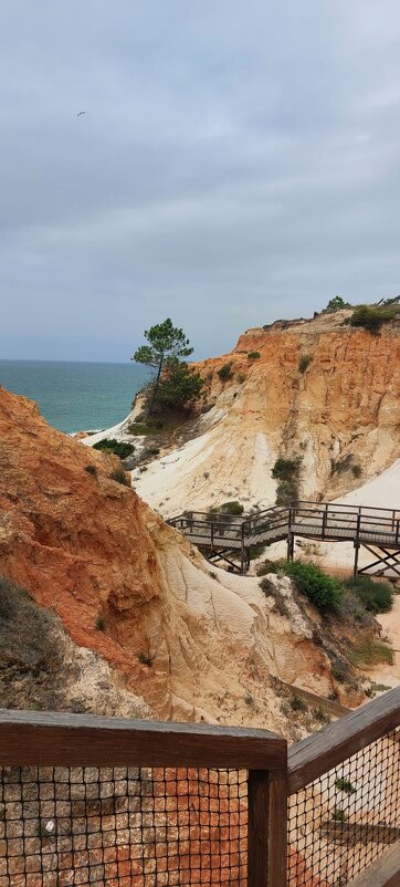 На юге Португалии - Ирэн 