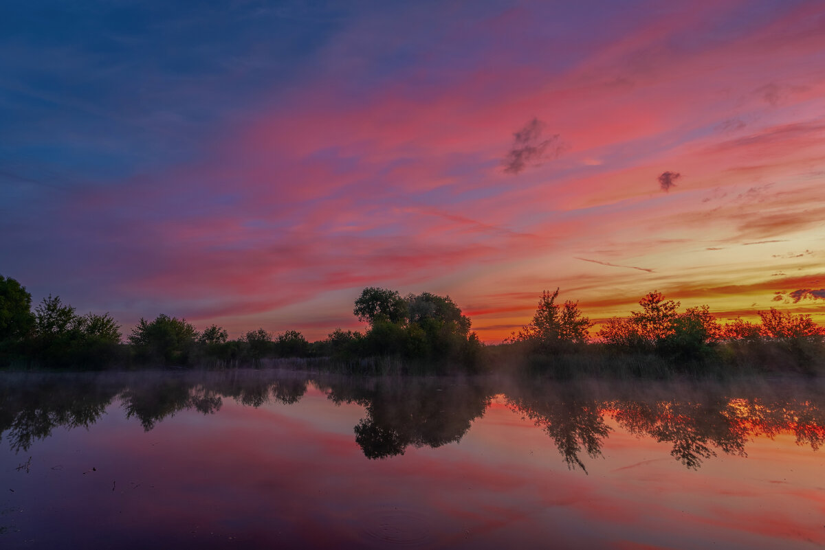 **** - Виталий Емельянов